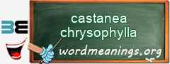 WordMeaning blackboard for castanea chrysophylla